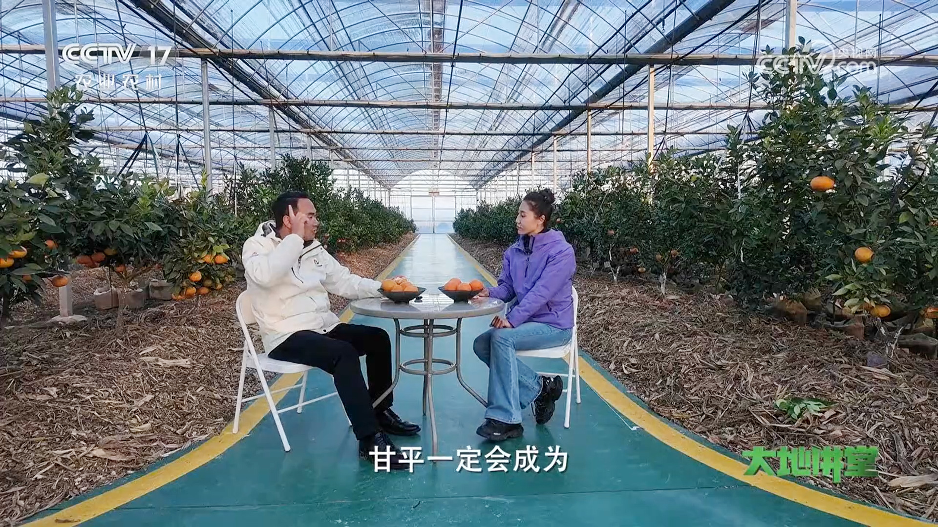 荣耀时刻 | 红甘苹上央视了！